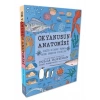 Okyanusun Anatomisi