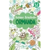 Ormanda - Noktaları Birleştirelim 4-5 Yaş