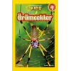 Örümcekler