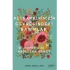 Peygamberimizin Çevresindeki Hanımlar