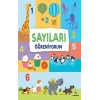 Sayıları Öğreniyorum (ciltli)