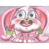 Şekilli Hayvanlar Serisi: Tavşan