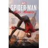 Spider-man: Öfkeli Kanatlar