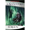 Sürgün: Drizzt Efsanesi 2