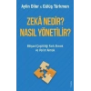 Zekâ Nedir? Nasıl Yönetilir?
