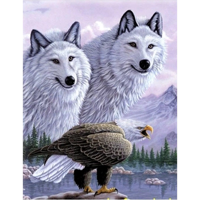 3 Boyutlu Resim  Kartallı Kurt Resmi Tablosu 40x60 Cm