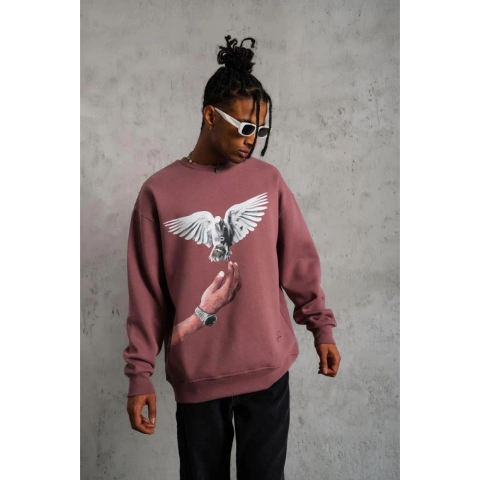 Erkek Güvercin Baskılı Bisiklet Yaka Sweatshirt 3 iplik pamuklu - Gül Kurusu
