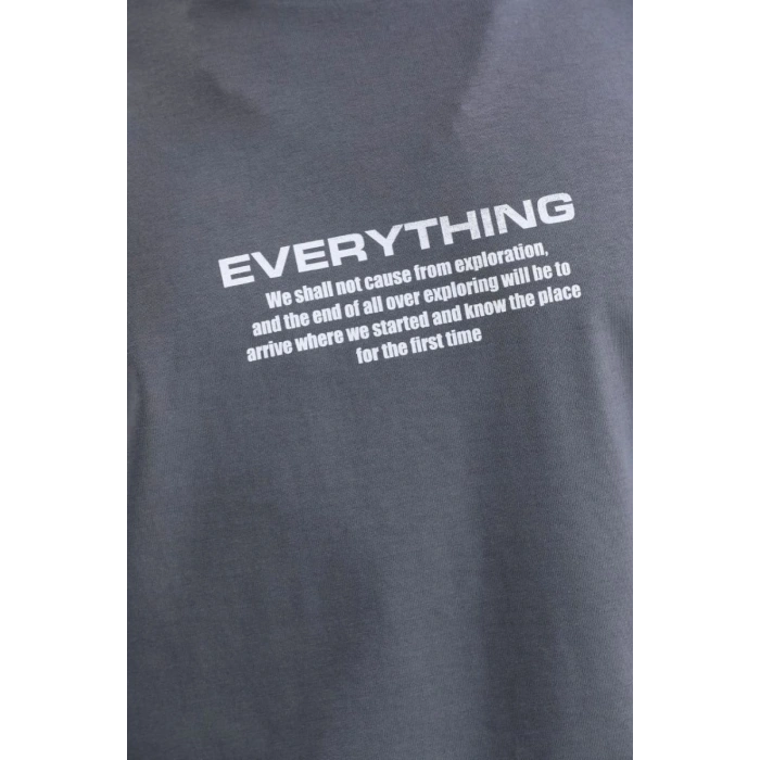 Erkek Tişort  Bisiklet Yaka Baskılı Oversize T-Shirt - Gri