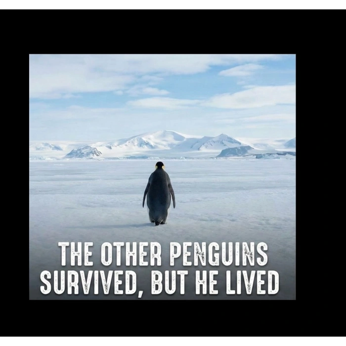 Kadın 3 İplik Pamuklu Kapüşonlu Hoodie Sweatshirt Survivor Penguen Baskılı - Siyah