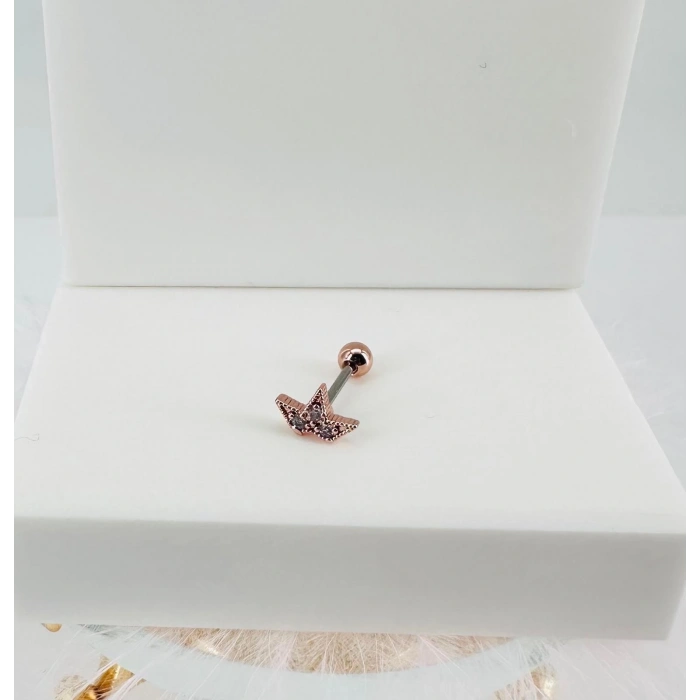 Tragus Kıkırdak Küpesi