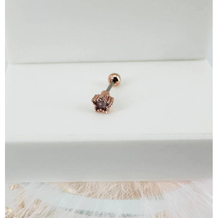 Tragus Kıkırdak Küpesi
