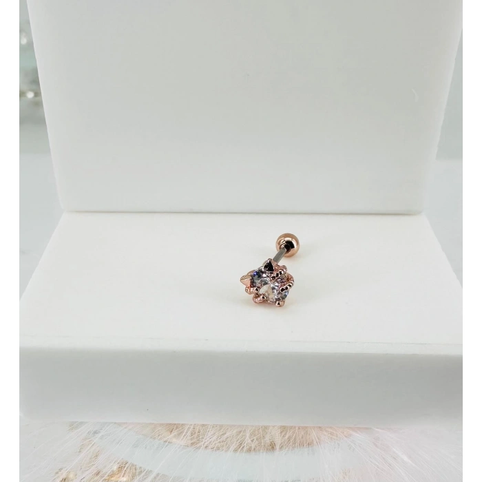Tragus Kıkırdak Küpesi