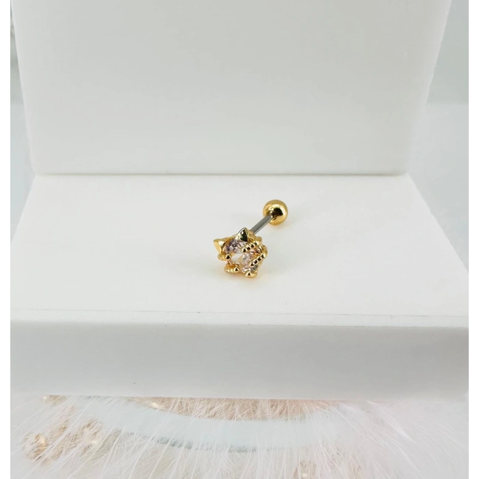 Tragus Kıkırdak Küpesi