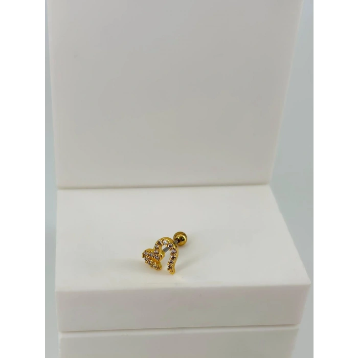 Tragus Kıkırdak Küpesi