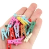 100lü Renkli Ahşap Mandal Seti 2.5 cm