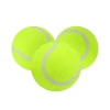 3lü Köpek Oyun Tenis Topu