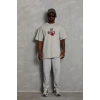 Erkek Baskılı T-Shirt Kısa Kol Bisiklet Yaka Regular Fit Tişört - Gri