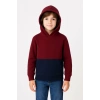 Erkek Çocuk Kapüşonlu Kanguru Cepli Parçalı SweatShirt - Renkli
