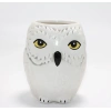 Harry Potter Hedwig Tasarım Porselen Kupa Bardak Alk4494