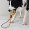 Mikopet Köpek Oyun Topu