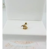Tragus Kıkırdak Küpesi