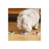 Yengeç Kedi Otu Oyun Topu