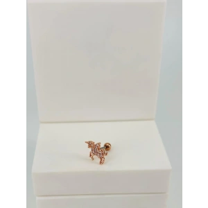 Tragus Kıkırdak Küpesi