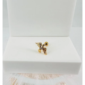 Tragus Kıkırdak Küpesi