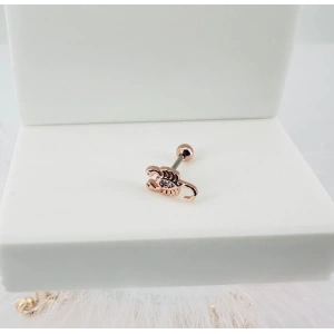 Tragus Kıkırdak Küpesi