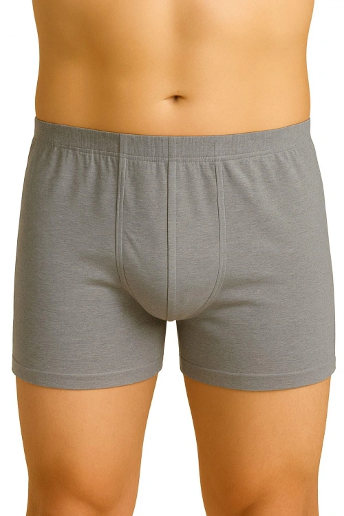 Arjantin Erkek Boxer - Gri - KLBN30276