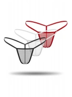 3lü Renkli Transparan Tül String Tanga Modeli - Kadın - KLBN00257