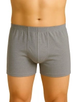 Arjantin Erkek Boxer - Gri - KLBN30276