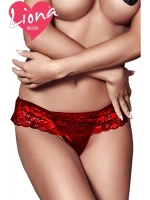 Liona Dantelli Büyük Beden Seksi Külot