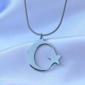 316L Çelik Gümüş Renk Ay Yıldız Model Unisex Kolye