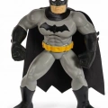 Batman Yüzme Arkadaşları - 6067008  (Lisinya)