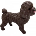 Soft Köpekler - Poodle Cinsi Köpek - E013 (Lisinya)