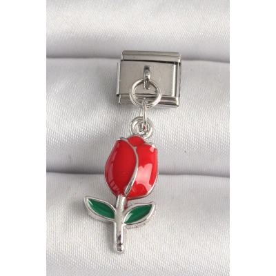316L Çelik Gümüş Renk Kırmızı Gül Model Nomination Charm