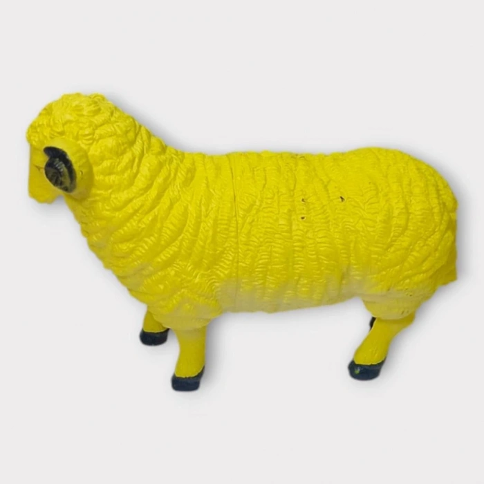 Çiftlik Hayvanları - Koyun (Lisinya)