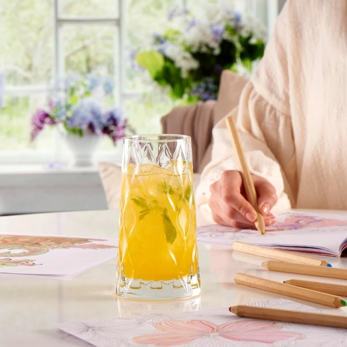 Paşabahçe 420855 Leafy Meşrubat Bardağı 345cc