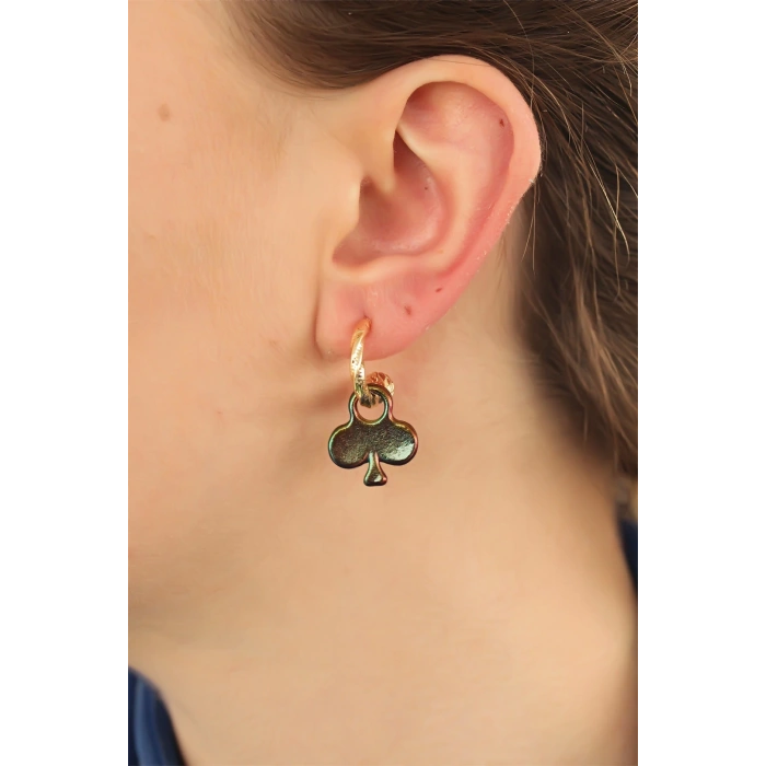 Sinek İkili Kart Tasarımlı Hematit Taşlı Küpe Seti