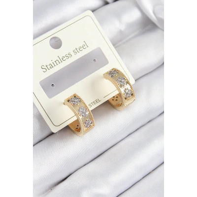 316L Çelik Zirkon Taşlı Halka Model Gold ve Gümüş Renk Kadın Küpe - Lisinya