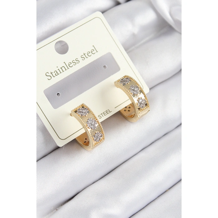 316L Çelik Zirkon Taşlı Halka Model Gold ve Gümüş Renk Kadın Küpe - Lisinya