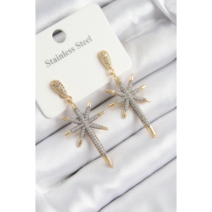 316L Çelik Zirkon Taşlı Pusula Yıldızı Model Gold Ve Gümüş Renk Kadın Küpe - Lisinya