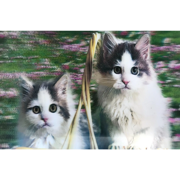 3 Boyutlu Resim  Sevimli Kediler İkili Kedi Resmi Tablosu 40x60 Cm