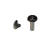 Cilt Menü, Katalog, Kartela Vidası, 9 Mm - Nikel, 1 Adet