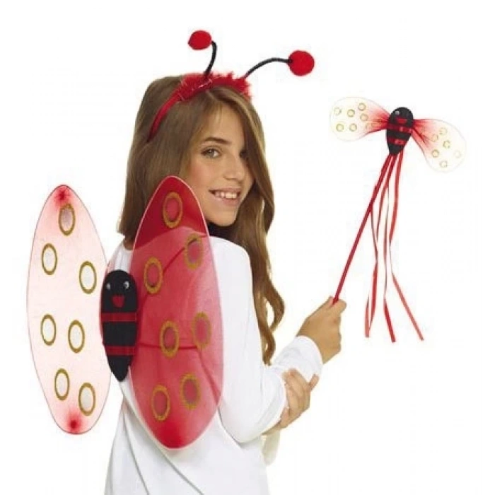 Kırmızı Renk Uğur Böceği Kanadı Eteği Tacı Ve Sopası 4 Lü Kostüm Seti