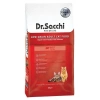 Dr.Sacchi Premium Sığır Etli Yetişkin Kedi Maması 10 Kg