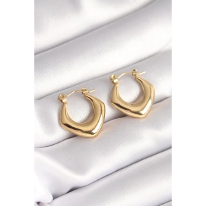 316L Çelik Gold Renk Kadın Küpe