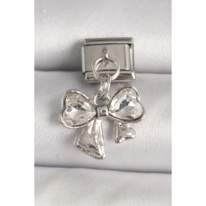 316L Çelik Gümüş Renk Zirkon Taşlı Fiyonk Model Nomination Charm