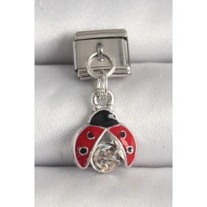 316L Çelik Gümüş Renk Zirkon Taşlı Uğur Böceği Model Nomination Charm